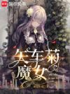 矢车菊魔女